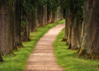 The epic hiking trail that explores one of Europe’s last great wildernesses – CNN