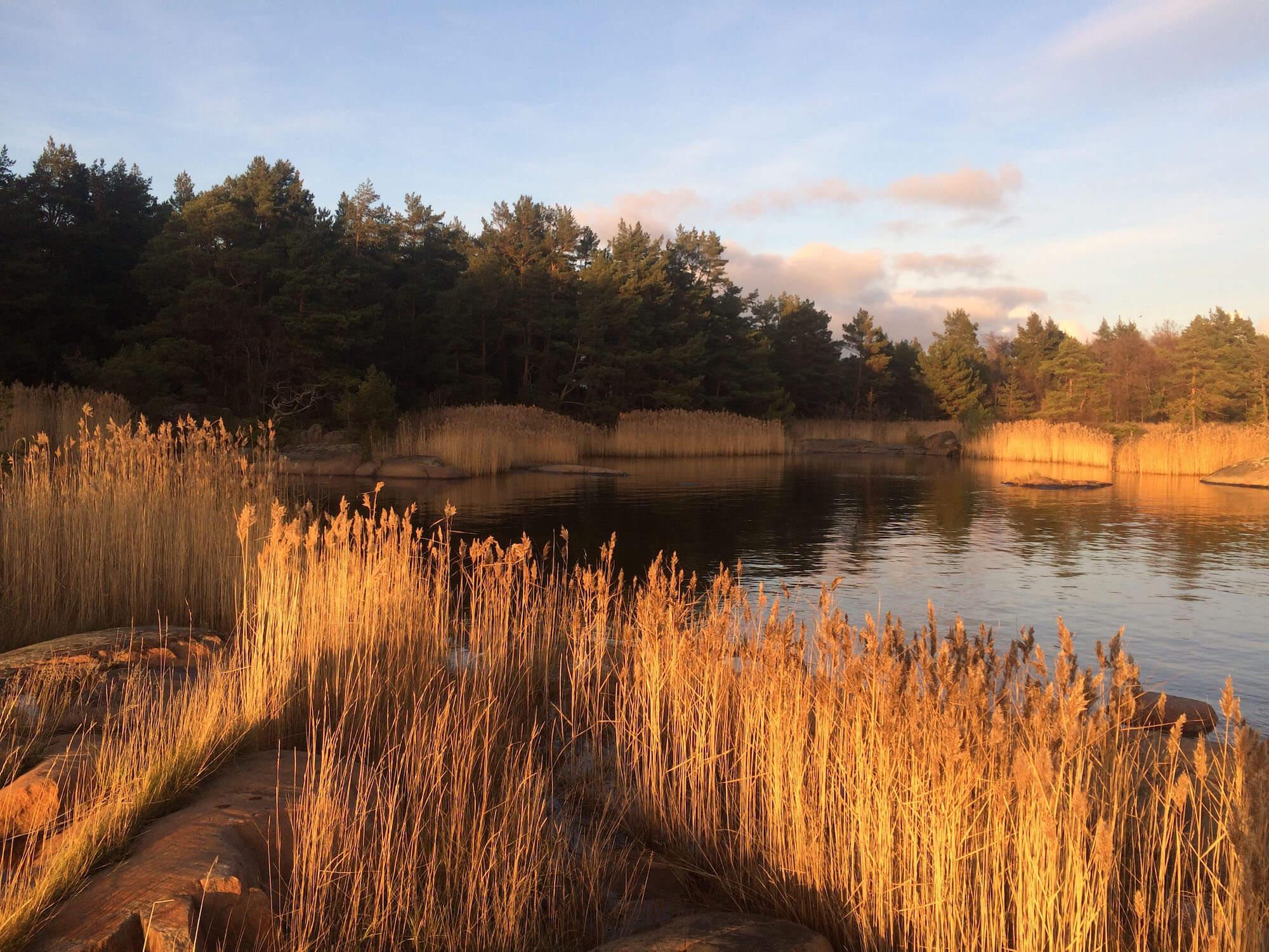 Exploring ⁢the Untouched Wilderness of⁤ Åland