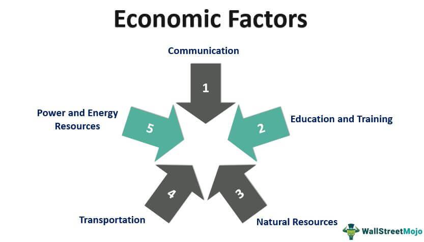 Impact of Economic Factors on Bulgarias Car Market Decline