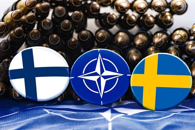 Enhanced cooperation Among NATO ‍Allies:‌ A Case Study of Lithuania