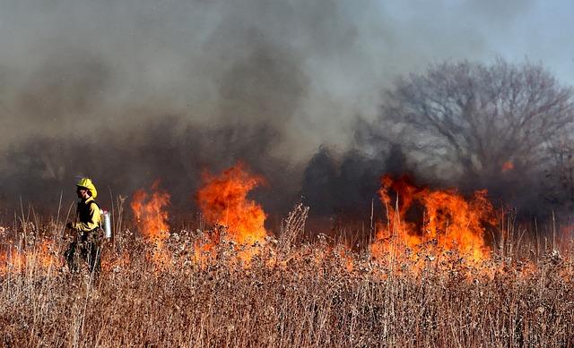 Advanced Technology and Data Utilization in Wildfire Monitoring and Response