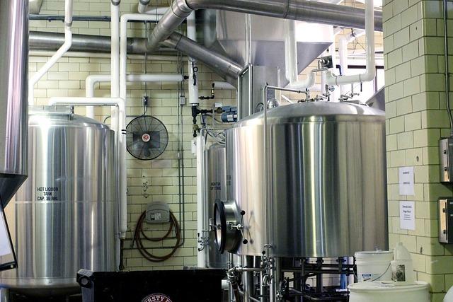 Future Trends: What’s Next for the Dutch Brewing Industry