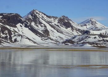 From Iceland — We Tried To Tango! – Reykjavík Grapevine