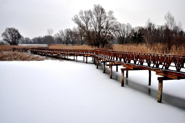 Future Prospects: What the New Campus Means for RIT and Its Stakeholders