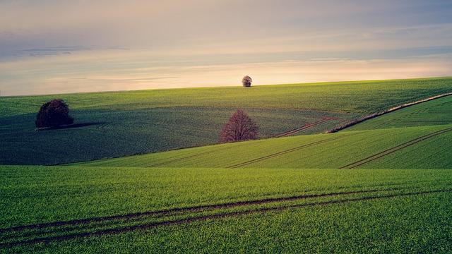 Future⁣ Prospects for Land Use Governance⁤ in an Evolving landscape