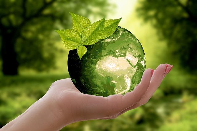 Sustainability LIVE in Malta Significance for the Global Movement