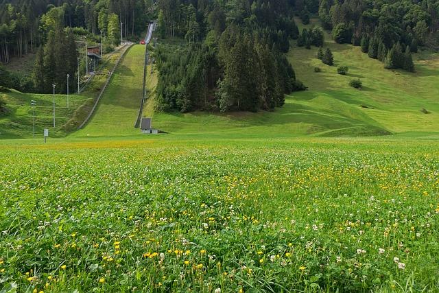 Reactions from the Ski Jumping Community and Fans