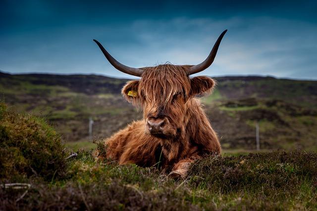 Scotlands Historic Highlands: A Gateway to Arctic Exploration