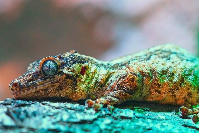 Biodiversity and Natural Resource Management in Luxembourg