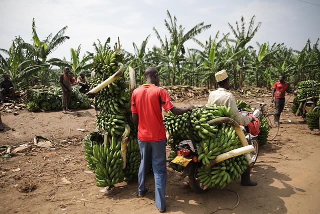 Economic Implications of Booze Trade on Local Communities