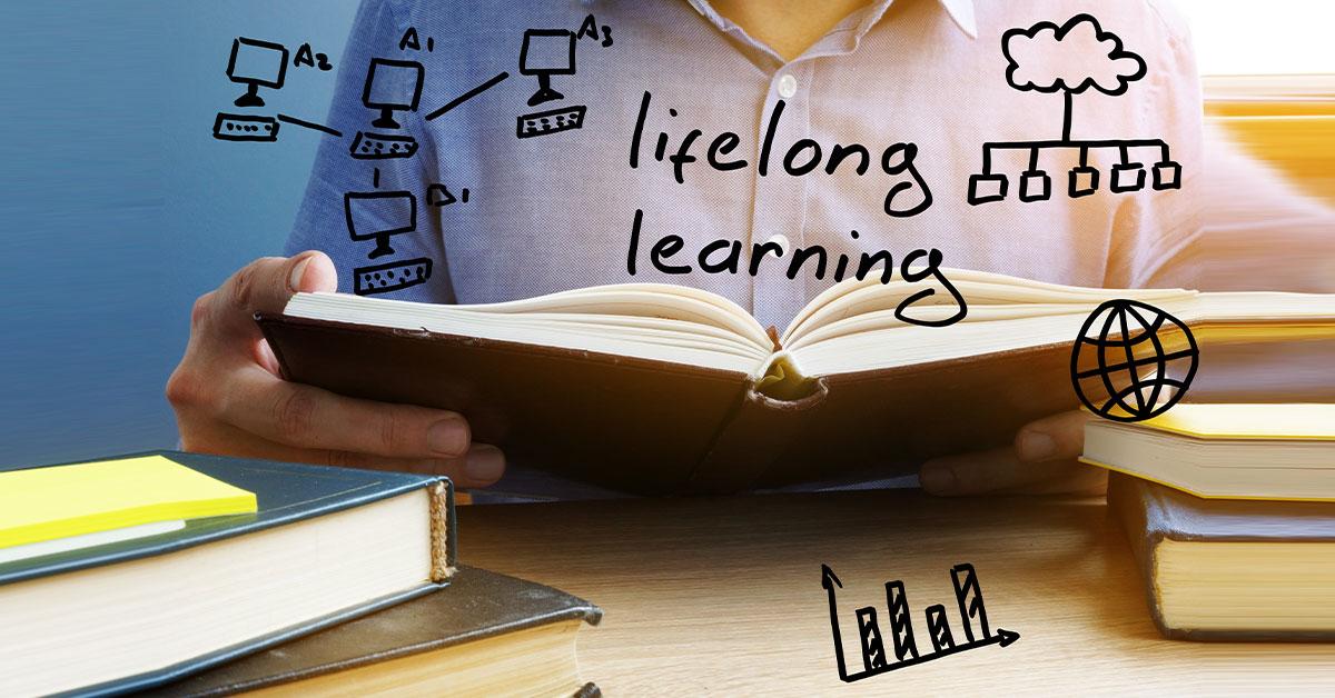 Strategies for Lifelong Learning and Self-Discovery