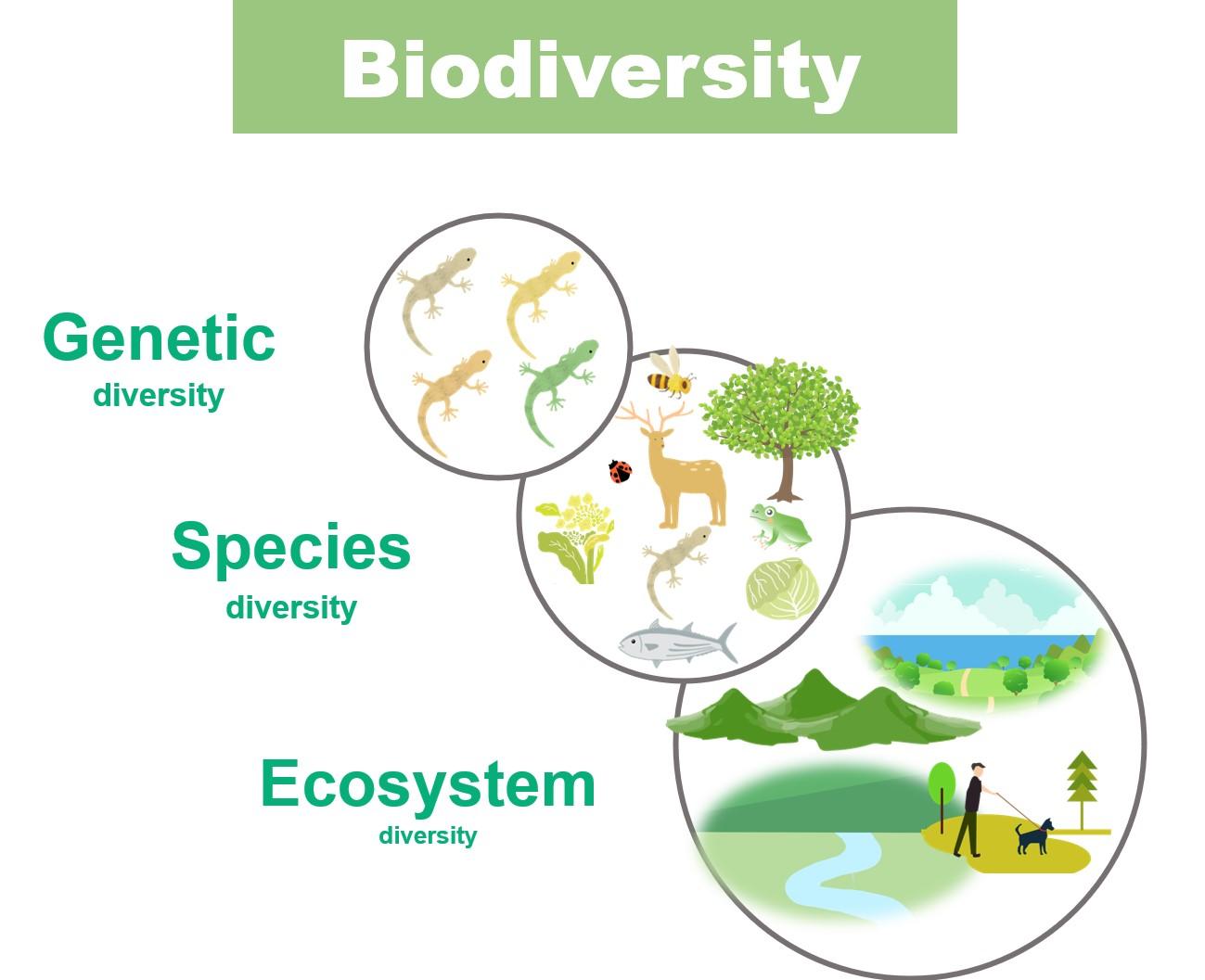 Implications for Biodiversity⁢ in Northern Europe