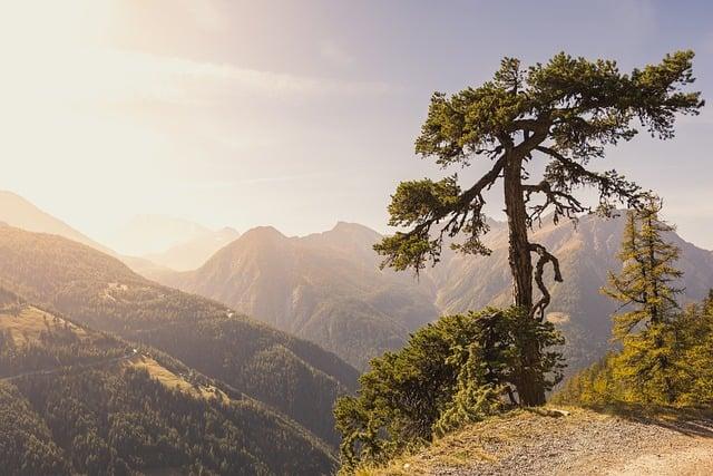 Exploring the Scenic Beauty of switzerlands Waterfalls