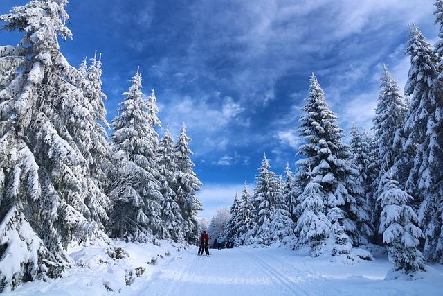 Italy Alpine skiing World Cup - The ​Post ⁣Star