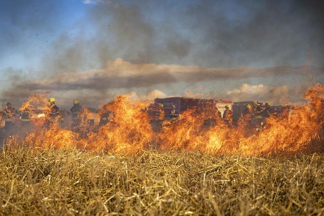 Long-term Ecological Consequences of Wildfires in Northern Portugal