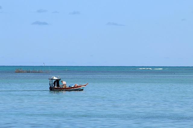 Impact on Local Fisheries and the Marine ecosystem