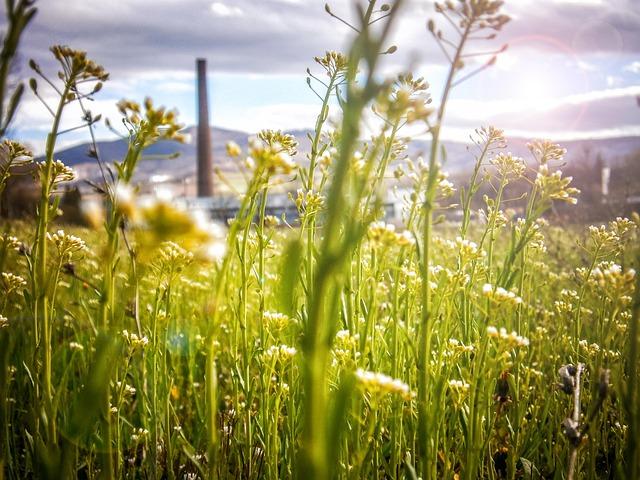 Towards a Sustainable Future: Bridging Gender and Environmental Initiatives in Luxembourg