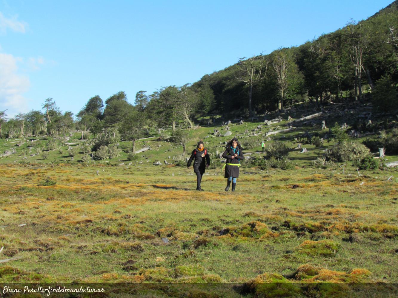 Future Challenges and Opportunities for Andorras Ecosystems