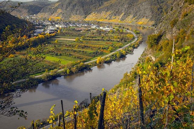 Exploring the Diversity of Portuguese Wine Regions