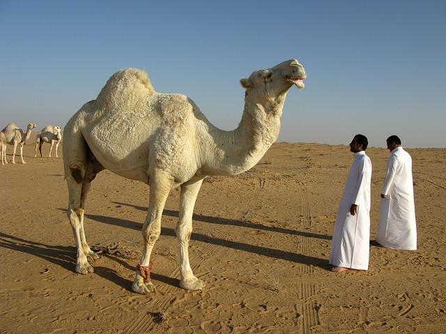 Saudi Arabias Emerging Influence: Evaluating Its Position as a Mediator in the Conflict