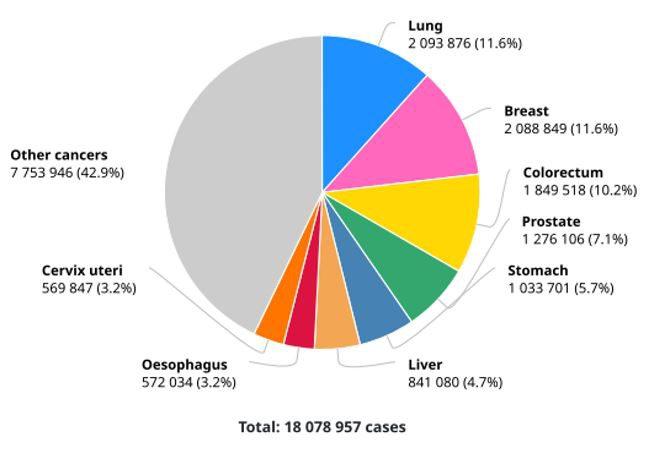 Burden of major cancer types in Almaty, Kazakhstan ⁣- Nature.com