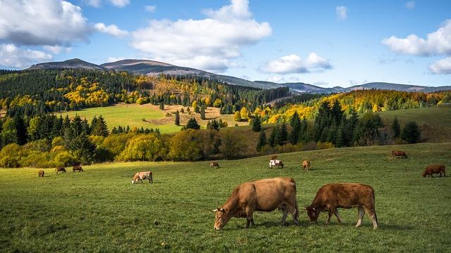 Slovakia’s Political Landscape: Understanding Fico’s rise to Power