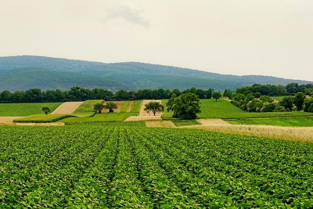 Potential Effects on Agriculture and Local Ecosystems