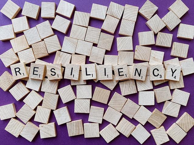 Recommendations ​for Strengthening Local Resilience and Capacity Building