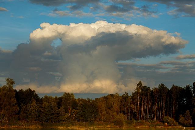 The Role of Weather Conditions in Shaping Race Outcomes