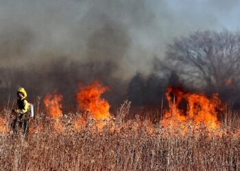 EU mobilises aid to combat wildfires in North Macedonia, Bulgaria and Albania – European Union