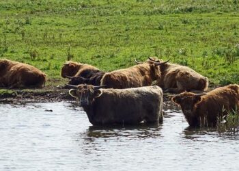 A sixth of mainland Norway is protected areas – Statistisk sentralbyrå