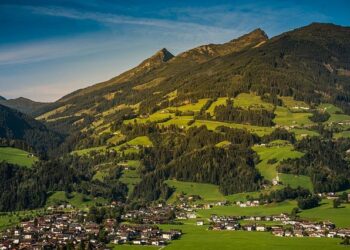 Planned regulations in Austria to burden renewables sector, association warns – Renewables Now