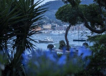 Yacht sinks after being rammed by orcas in Strait of Gibraltar – BBC.com