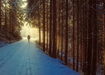 Evolène – Experience the Tranquility of a Snowy Walk in Valais, Switzerland (4K) – MSN