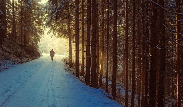 Evolène – Experience the Tranquility of a Snowy Walk in Valais, Switzerland (4K) – MSN