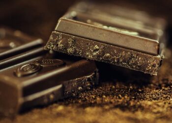 Cocoa-free chocolate arrives in Switzerland – SWI swissinfo.ch in English