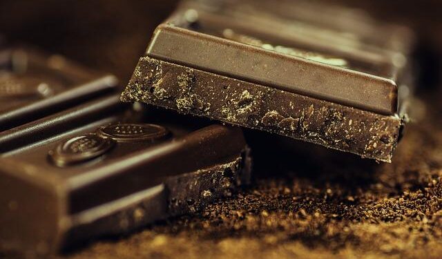 Cocoa-free chocolate arrives in Switzerland – SWI swissinfo.ch in English