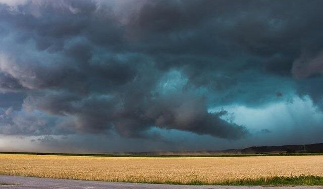 Dust storms rage across New Mexico as transit authorities close major highways to avoid pileups – WHBF – OurQuadCities.com