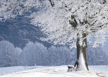 Winter and Spring battle: sharp temperature fluctuations expected in Latvia – bnn-news.com