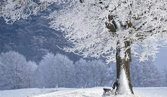 Winter and Spring battle: sharp temperature fluctuations expected in Latvia – bnn-news.com