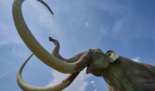 25,000-Year-Old Mammoth Site Stuns Archaeologists in Lower Austria – The Daily Galaxy –Great Discoveries Channel