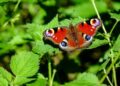 Exact date some of UK to be hotter than Greece as temperatures set to soar to 18C – Yahoo News UK