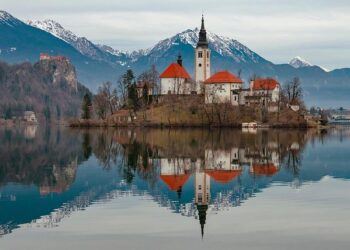 Slovenia plants 2,000 trees to counter climate threat on Int’l Forest Day – Xinhua