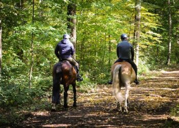 I travelled 2,000 miles from Italy to the tip of Spain – on horseback | Horse riding holidays – The Guardian