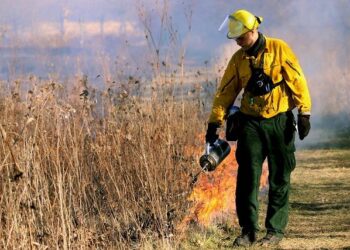 Wildfires Rage Across Carolinas, New Jersey – The Weather Channel