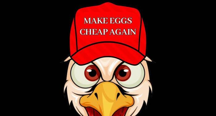 Cheap eggs from Ukraine flooding Croatian market – Croatia Week