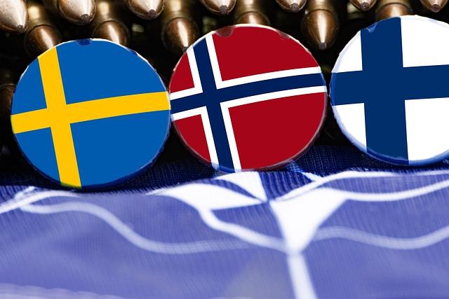 Key Challenges Faced by Sweden in Its First Year as a NATO member