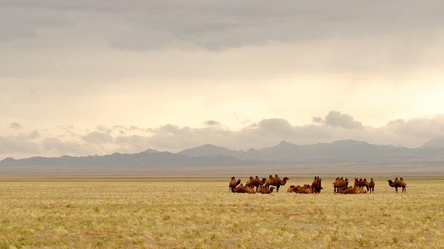 Cultural Exchange: Fostering Understanding Between ⁣Mongolia and the Czech Republic