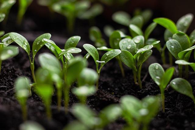 Living Sustainably: How Residents adapt to Extreme Conditions