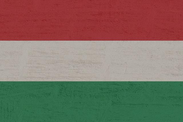 The International Reaction: Global Condemnation of Hungarys Ban